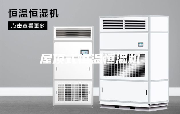 屋顶式恒温恒湿机
