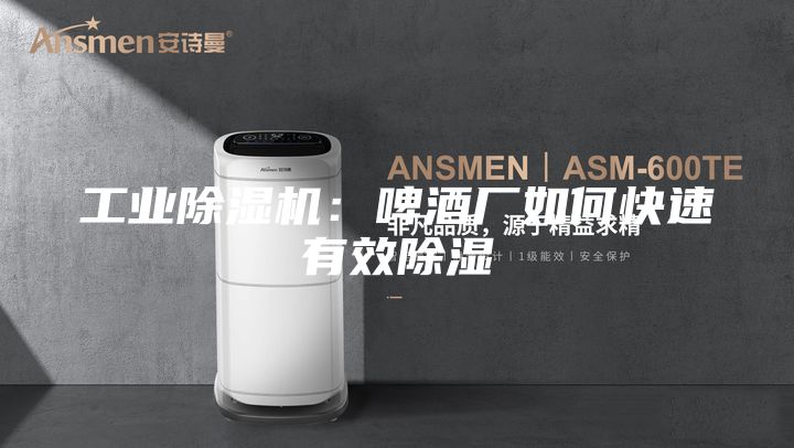 工业除湿机：啤酒厂如何快速有效除湿