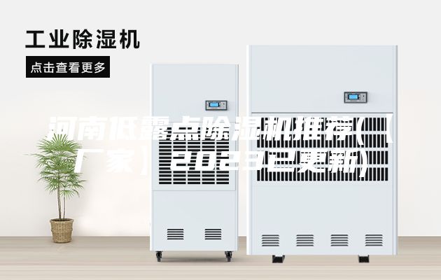 河南低露点除湿机推荐(【厂家】2023已更新)
