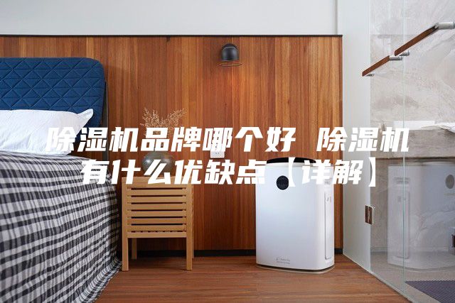 除湿机品牌哪个好 除湿机有什么优缺点【详解】