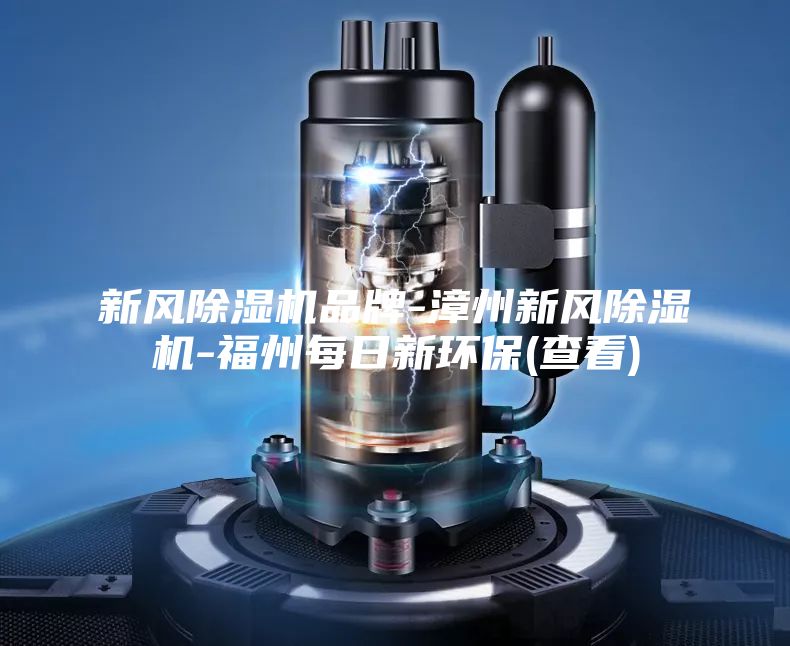 新风除湿机品牌-漳州新风除湿机-福州每日新环保(查看)