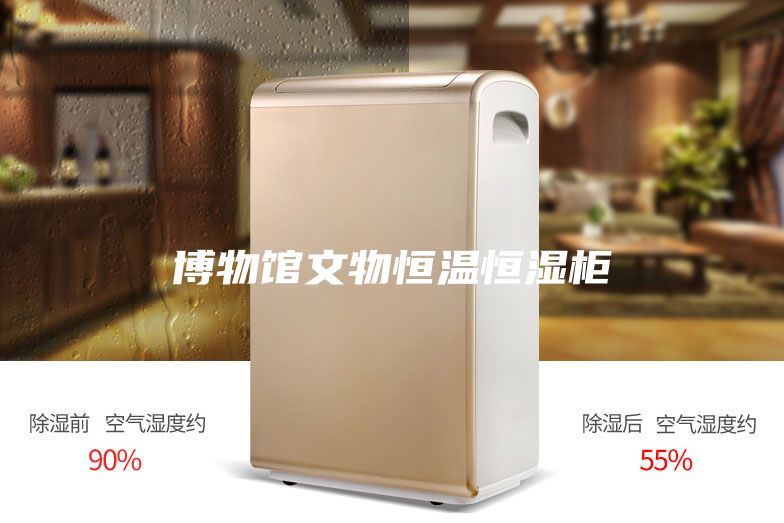 博物馆文物恒温恒湿柜