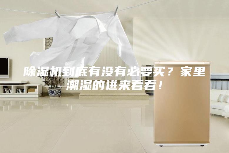 除湿机到底有没有必要买？家里潮湿的进来看看！