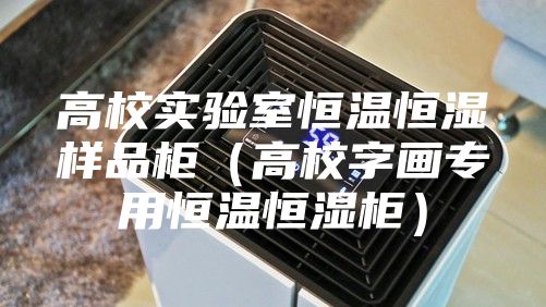 高校实验室恒温恒湿样品柜（高校字画专用恒温恒湿柜）