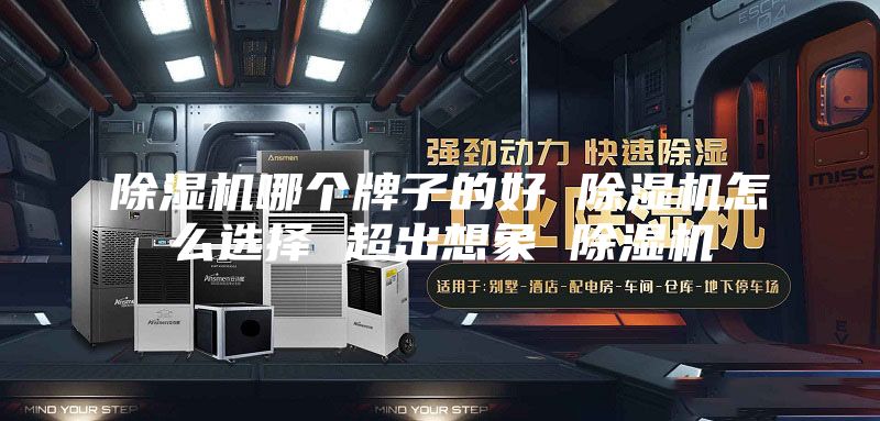 除湿机哪个牌子的好 除湿机怎么选择 超出想象 除湿机