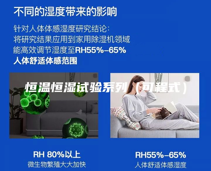 恒温恒湿试验系列（可程式）
