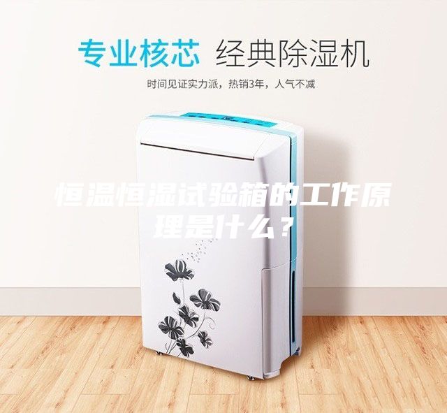 恒温恒湿试验箱的工作原理是什么？