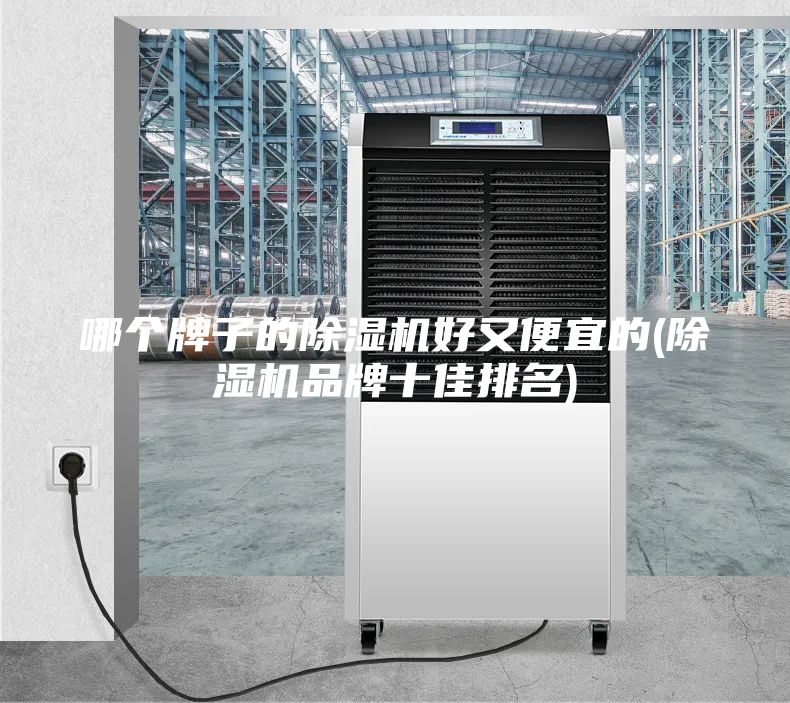 哪个牌子的除湿机好又便宜的(除湿机品牌十佳排名)