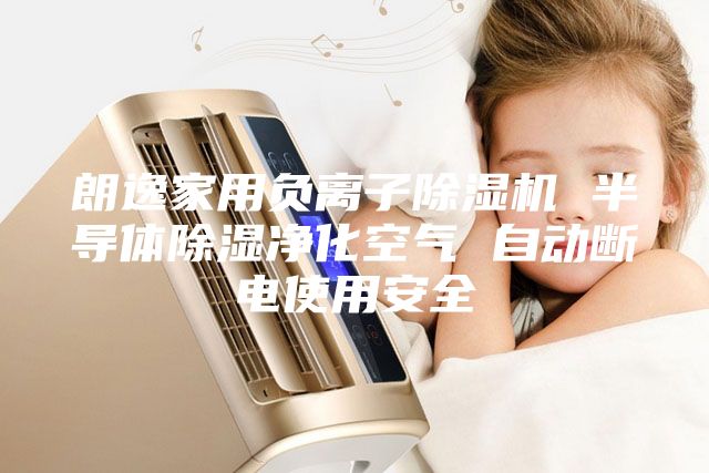 朗逸家用负离子除湿机 半导体除湿净化空气 自动断电使用安全