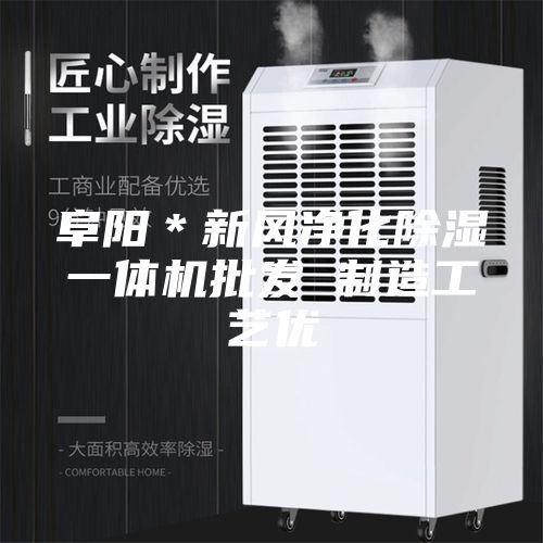 阜阳＊新风净化除湿一体机批发 制造工艺优