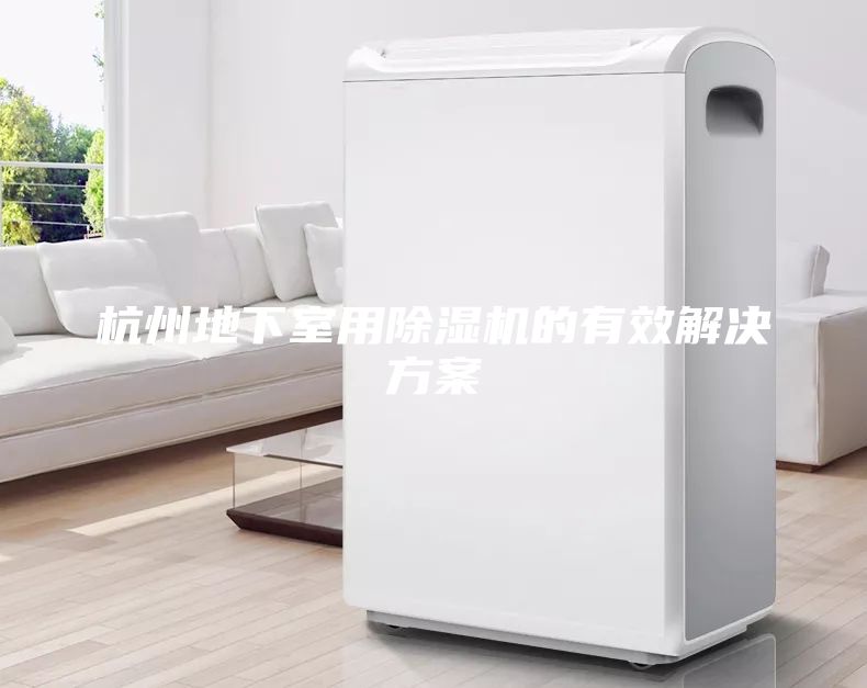 杭州地下室用除湿机的有效解决方案