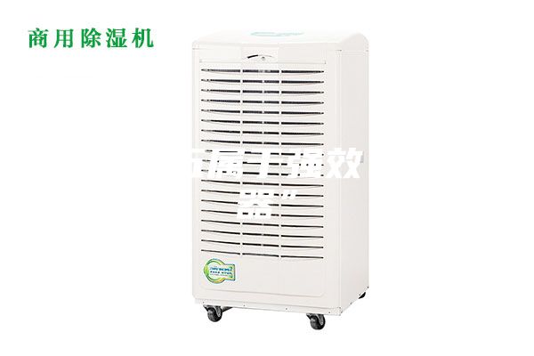 那些十五属于强效“除湿器”