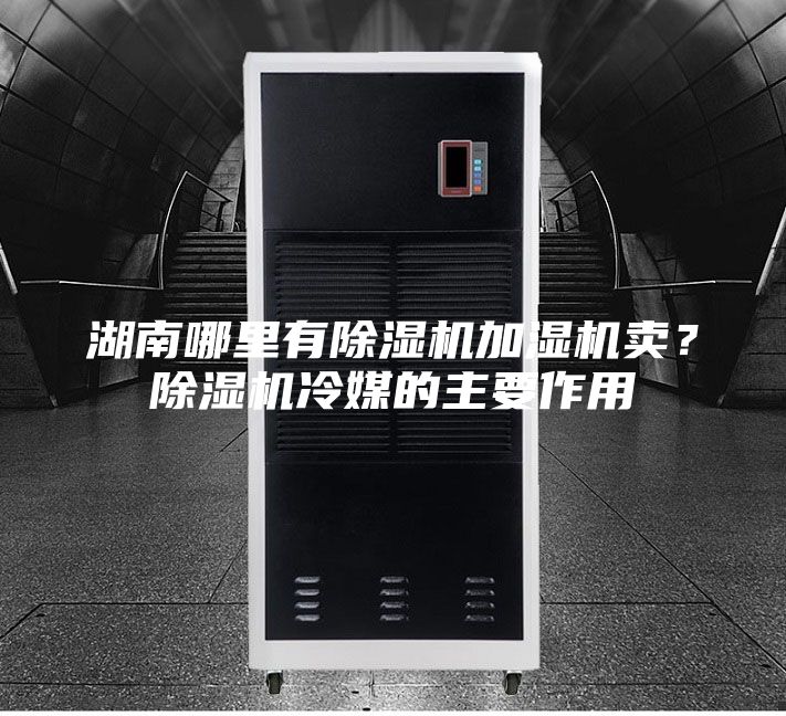 湖南哪里有除湿机加湿机卖？除湿机冷媒的主要作用