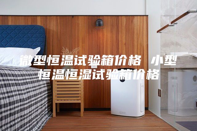 微型恒温试验箱价格 小型恒温恒湿试验箱价格