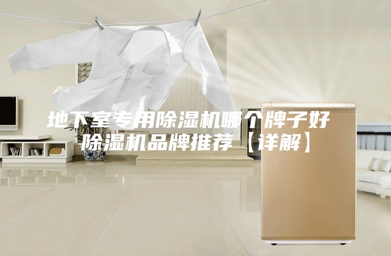 地下室专用除湿机哪个牌子好 除湿机品牌推荐【详解】