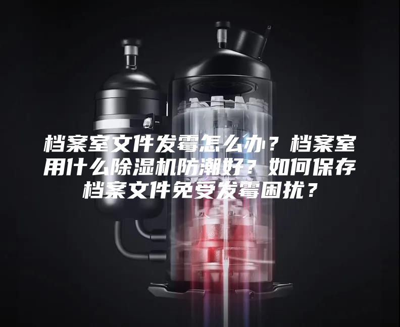 档案室文件发霉怎么办？档案室用什么除湿机防潮好？如何保存档案文件免受发霉困扰？