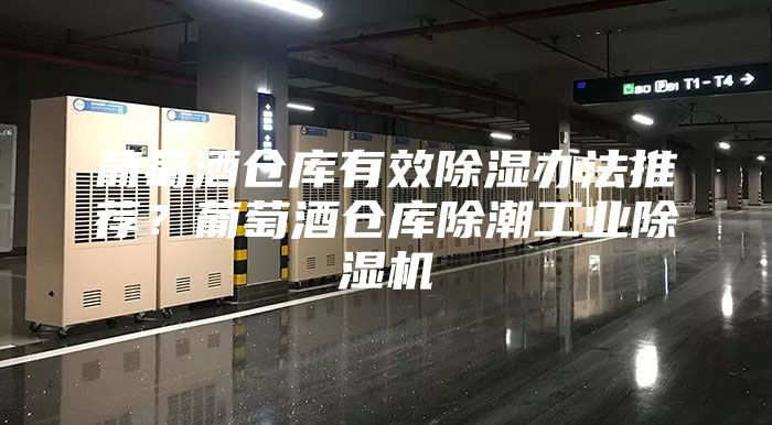 葡萄酒仓库有效除湿办法推荐？葡萄酒仓库除潮工业除湿机