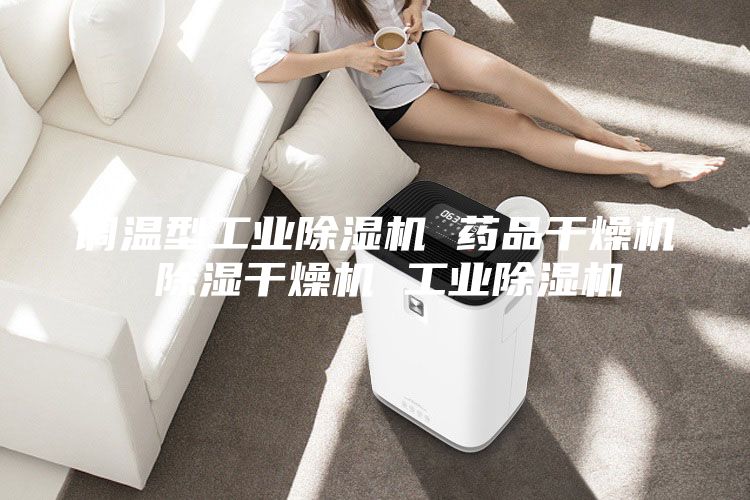 调温型工业除湿机 药品干燥机 除湿干燥机 工业除湿机