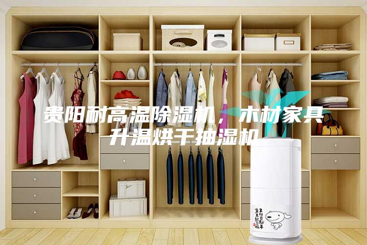 贵阳耐高温除湿机，木材家具升温烘干抽湿机