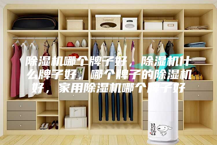 除湿机哪个牌子好，除湿机什么牌子好，哪个牌子的除湿机好，家用除湿机哪个牌子好
