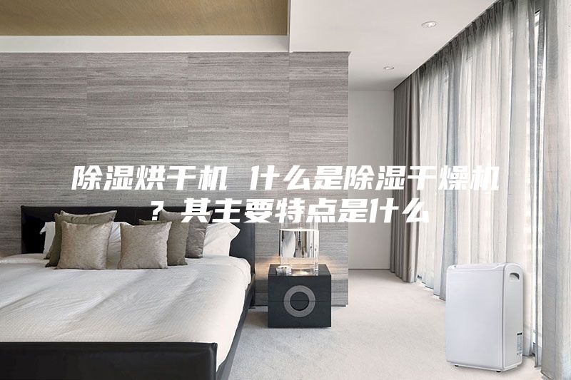 除湿烘干机 什么是除湿干燥机？其主要特点是什么