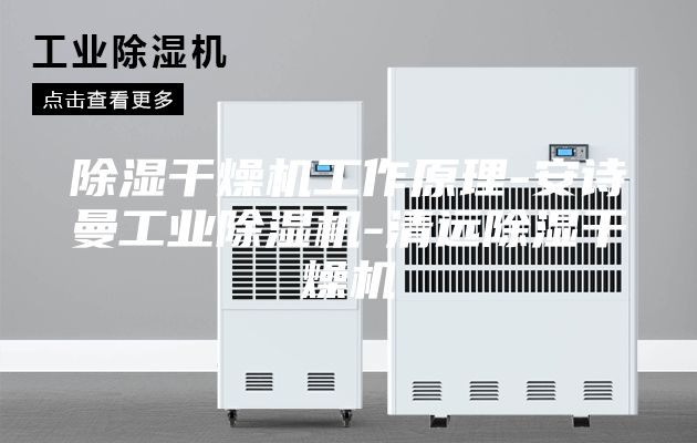 除湿干燥机工作原理-安诗曼工业除湿机-清远除湿干燥机