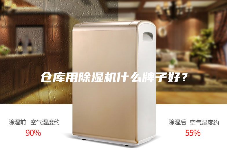 仓库用除湿机什么牌子好？
