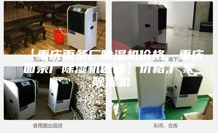【重庆面条厂除湿机价格，重庆面条厂除湿机咨询】价格,厂家,除湿机