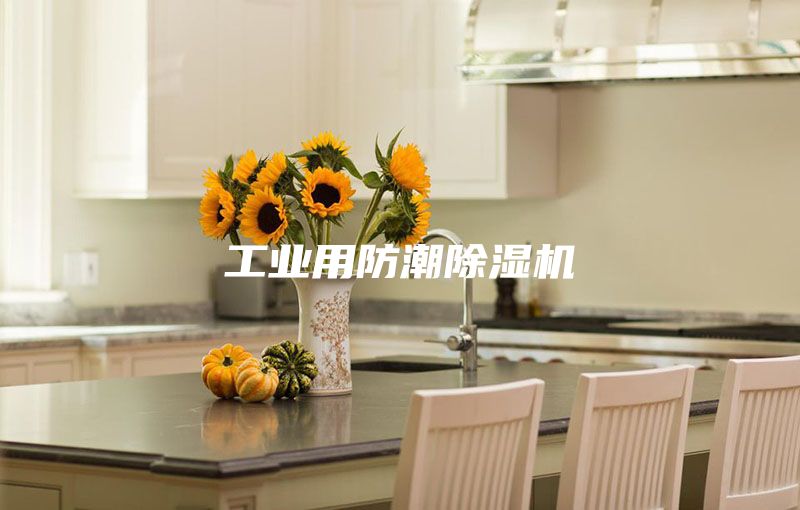 工业用防潮除湿机