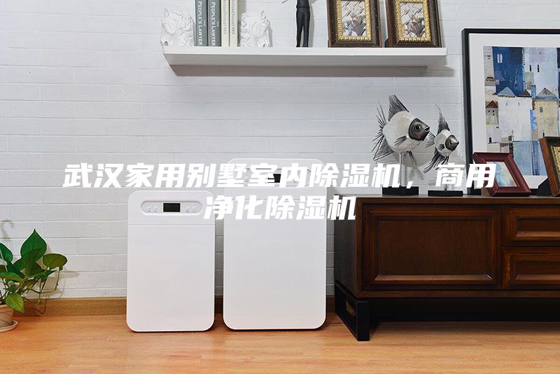 武汉家用别墅室内除湿机，商用净化除湿机