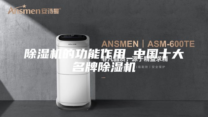 除湿机的功能作用_中国十大名牌除湿机