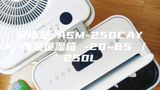 安诗曼 ASM-250CAY 恒温恒湿箱 -20~85℃／250L
