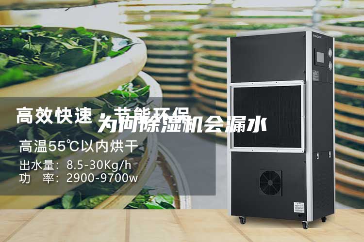 为何除湿机会漏水
