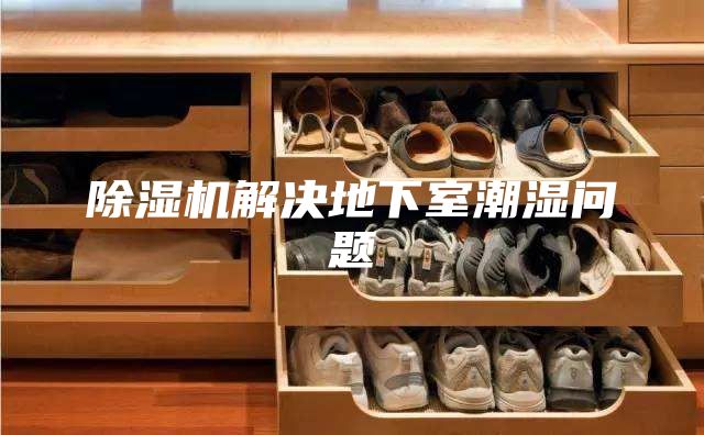 除湿机解决地下室潮湿问题