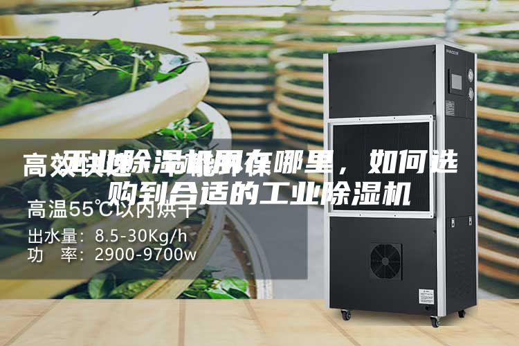 工业除湿机用在哪里，如何选购到合适的工业除湿机