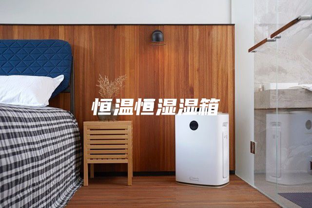 恒温恒湿湿箱