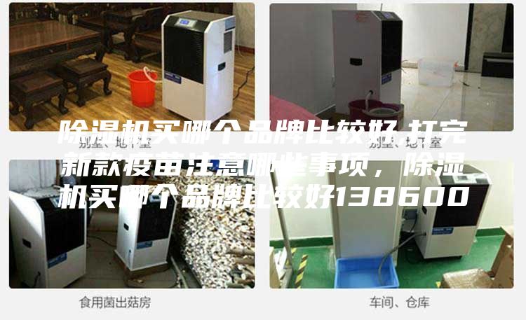 除湿机买哪个品牌比较好,打完新款疫苗注意哪些事项，除湿机买哪个品牌比较好138600