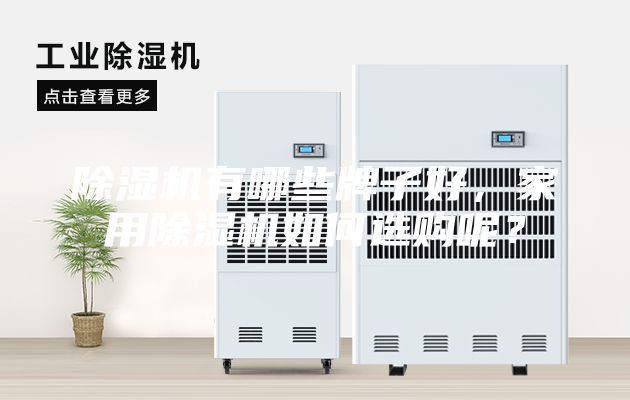 除湿机有哪些牌子好，家用除湿机如何选购呢？