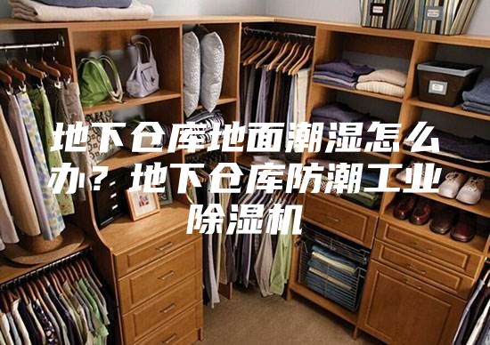 地下仓库地面潮湿怎么办？地下仓库防潮工业除湿机