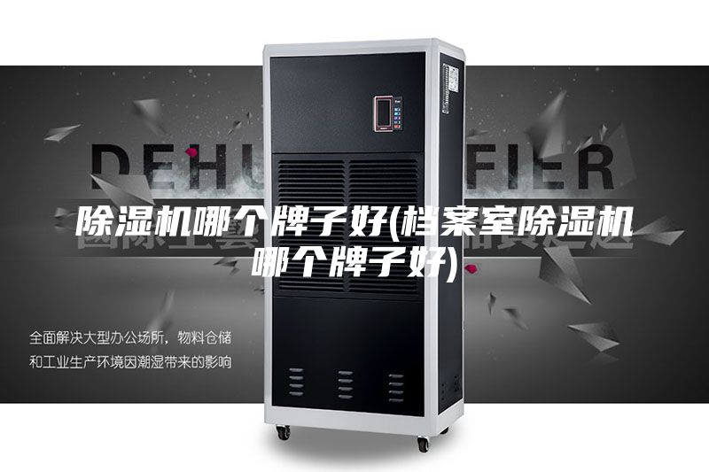 除湿机哪个牌子好(档案室除湿机哪个牌子好)