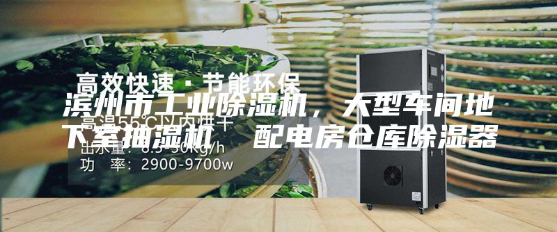 滨州市工业除湿机，大型车间地下室抽湿机  配电房仓库除湿器