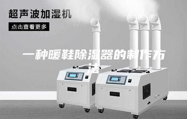 一种暖鞋除湿器的制作方法