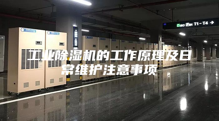 工业除湿机的工作原理及日常维护注意事项