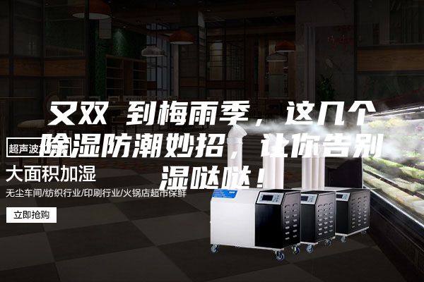 又双叒到梅雨季，这几个除湿防潮妙招，让你告别湿哒哒！
