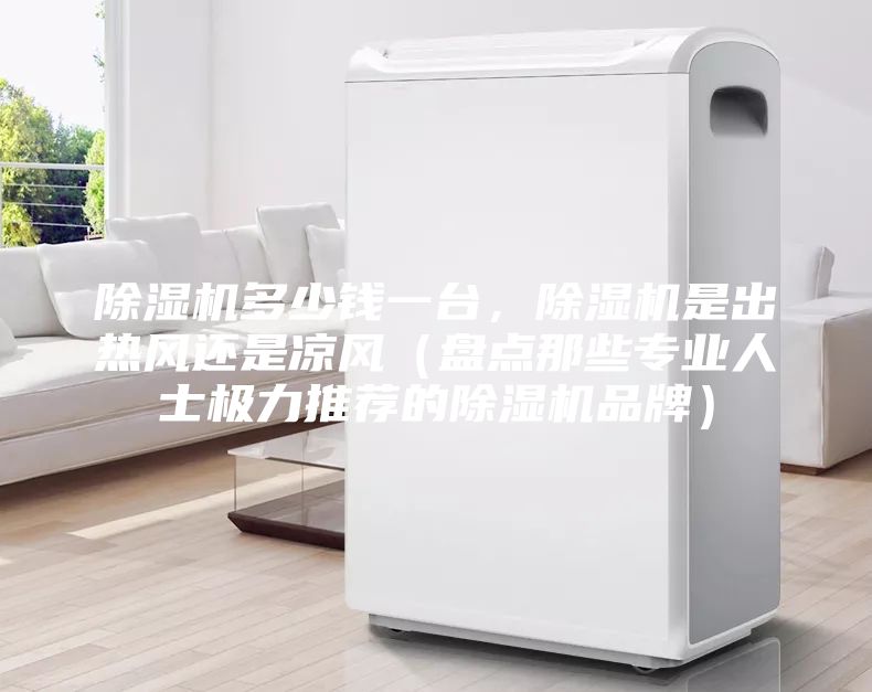 除湿机多少钱一台，除湿机是出热风还是凉风（盘点那些专业人士极力推荐的除湿机品牌）