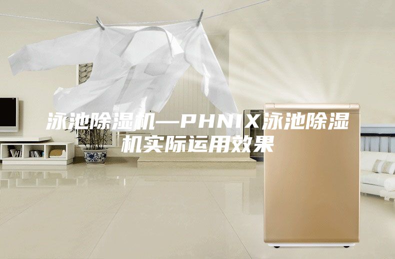 泳池除湿机—PHNIX泳池除湿机实际运用效果