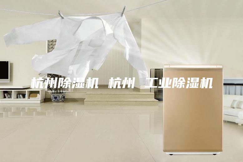 杭州除湿机 杭州 工业除湿机