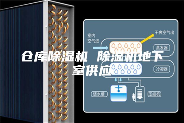 仓库除湿机 除湿机地下室供应