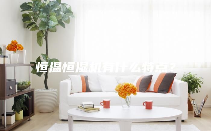 恒温恒湿机有什么特点？