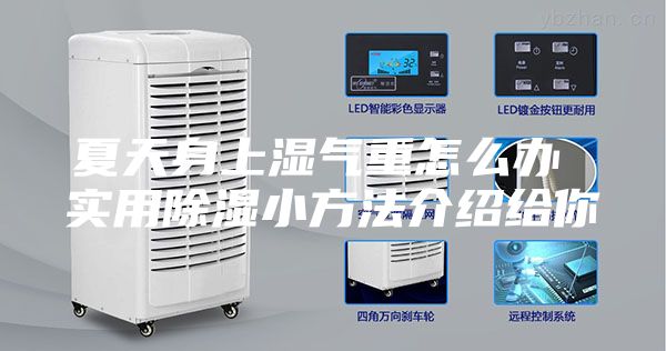 夏天身上湿气重怎么办 实用除湿小方法介绍给你
